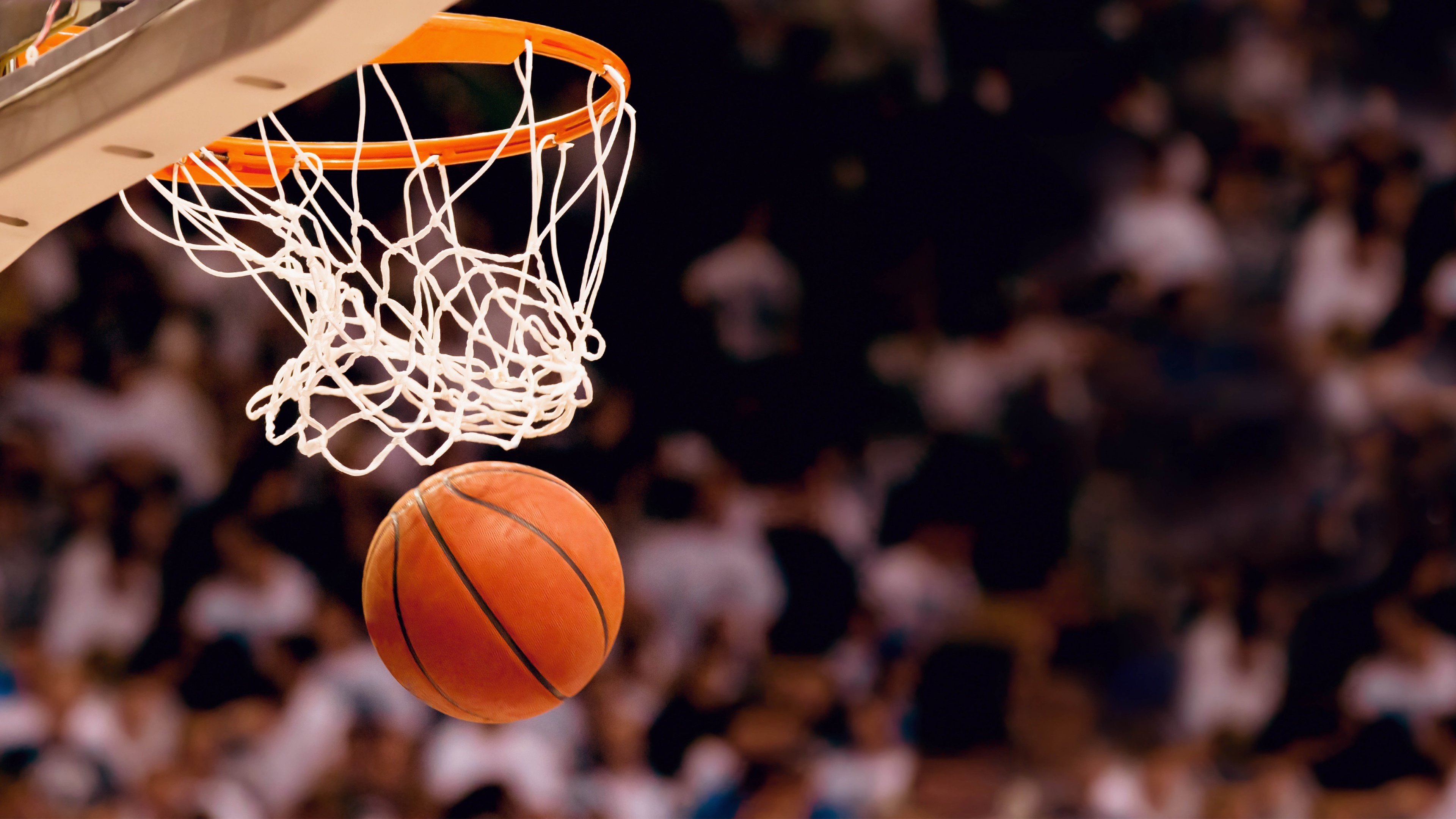 NBA常规赛战术革新引热议,从公式化到极限微操的进化之路